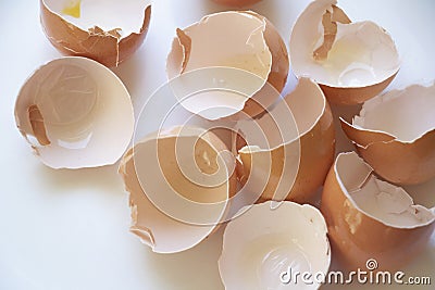 Delicate Egg Shells on a White and Airy Background Stock Photo