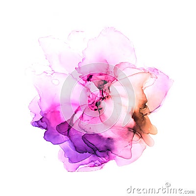 Delicate hand drawn watercolor flower in pink and violet tones. Alcohol ink art. Raster illustration. Cartoon Illustration