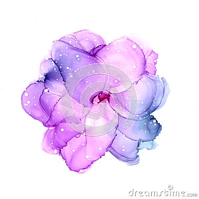 Delicate hand drawn watercolor flower in violet and pink tones. Alcohol ink art. Raster illustration. Cartoon Illustration