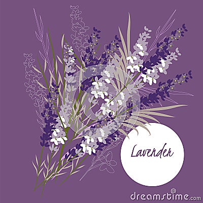 Delicate illustration lavender flower Cartoon Illustration