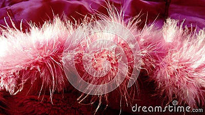 Delicate natural swan pink fluff. Hood feather trim. Fluffy boa feathers over dark pink faux fur, natural light from above and to Stock Photo