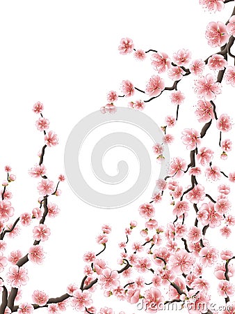 Delicate pink sakura cherry blossoms. EPS 10 Vector Illustration