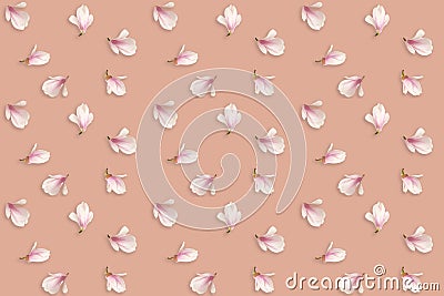 Delicate seamless background, natural pattern with pink magnolia buds, spring flowers, basis for designer, nature awakening Stock Photo