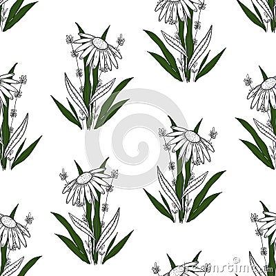 Delicate sketch flower and grass pattern Vector Illustration