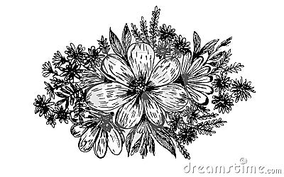Delicate sketch hand drawn floral composition Vector Illustration