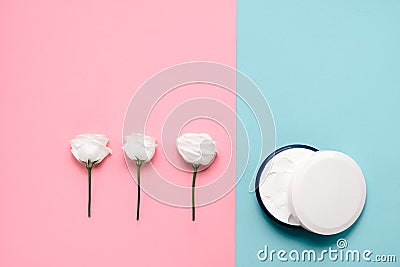 Delicate skin care cosmetic feminine flatlay. Top view Creative composition of face cream and flowers leaves on abstract Stock Photo