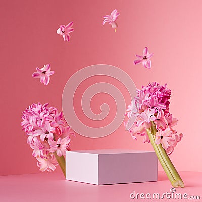 Delicate spring mock up for cosmetic and product display with white square podium, tender hyacinth flowers flying as frame. Stock Photo