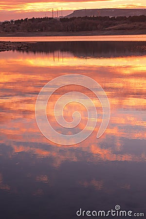 Delicate tranquil landscape from bottom view to pure sky Stock Photo