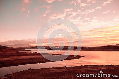 Delicate tranquil landscape from bottom view to pure sky Stock Photo