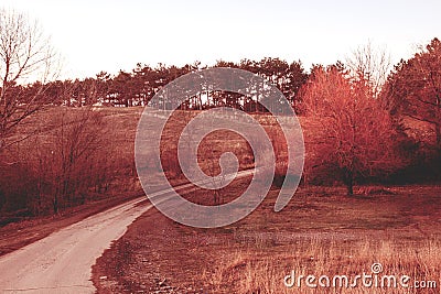 Delicate tranquil landscape from bottom view to pure sky. Stock Photo