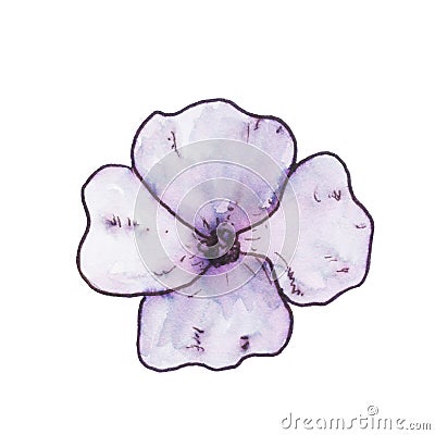 Delicate violet flower in ink Cartoon Illustration