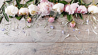 Delicate white pink peony with petals flowers and white ribbon on wooden board. Overhead top view, flat lay. Copy space. Birthday, Stock Photo