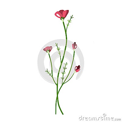 delicate wildflowers of pink shades Vector Illustration