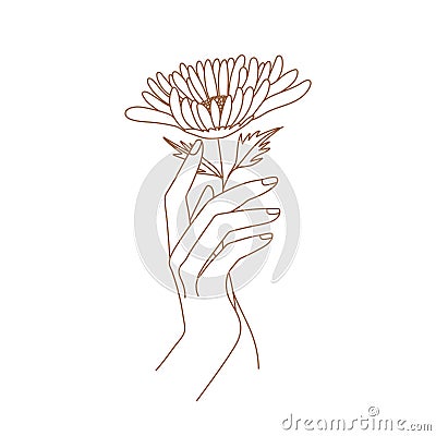 Delicate women hand with golden-daisy flower. Female hand logo in trendy linear style. Vector Illustration