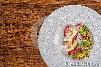 Delicious apetizer with fresh vegetable served on white plate, modern michelin food Stock Photo