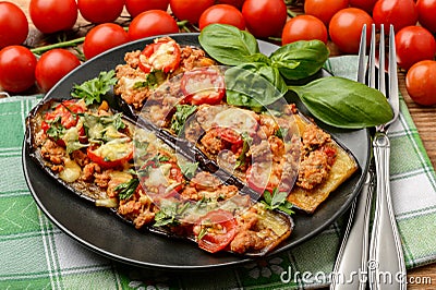 Delicious appetizer -grilled eggplants baked with minced meat, tomatoes and cheese. Stock Photo