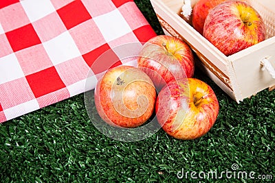 Delicious apples on the grass Stock Photo