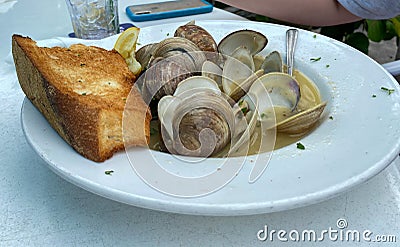 A delicious and beautifully plated dinner of clams with garlic toast Stock Photo