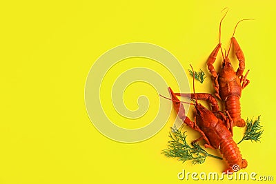 Delicious boiled crayfishes and dill on yellow background. Space for text Stock Photo