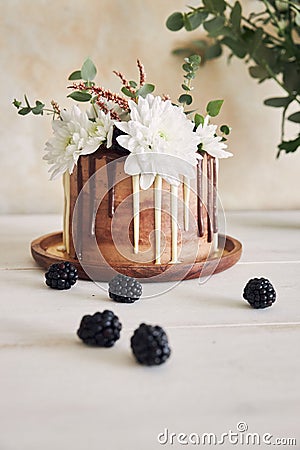 Delicious cake with white and brown chocolate swirly with flowers and blackberries on a table Stock Photo