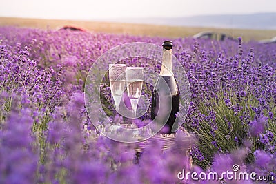 Delicious champagne over lavender flowers field. Violet flowers on the background. Sunset sky over lavender bushes Cartoon Illustration