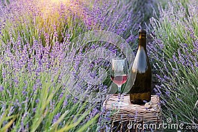 Delicious champagne over lavender flowers field. Violet flowers on the background. Sunset sky over lavender bushes Cartoon Illustration
