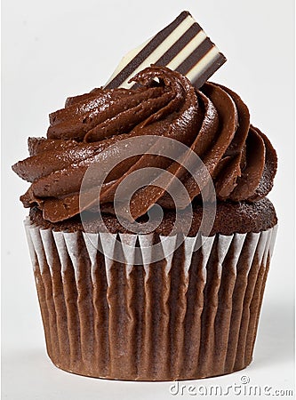 Chocolate Cupcake Stock Photo