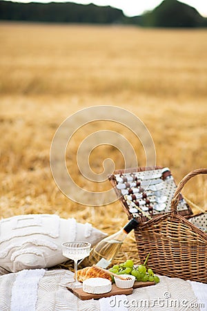 Delicious colorful picnic in the lavender field in the sunny day. Wine and three wine glasses on the golden tray Stock Photo