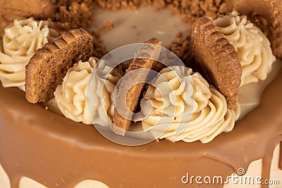 Delicious cookie cake, pastry cream, chocolate coverage and cookie earth base Stock Photo