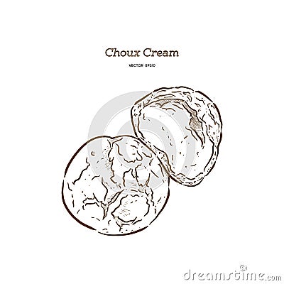 Delicious cream puff cakes with cream, hand draw vector Vector Illustration