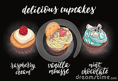 Delicious cupcakes. Vector Illustration