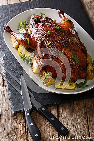 Delicious festive duck with apples and greens close-up on a table. vertical Stock Photo