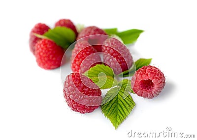 Delicious first class fresh raspberries Stock Photo