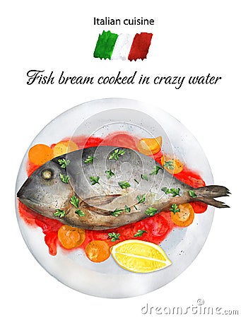 Delicious fish bream cooked in crazy water. Italian cuisine Cartoon Illustration