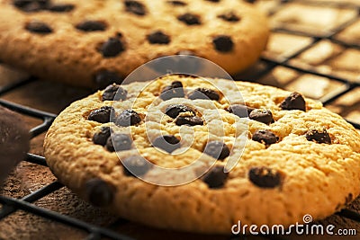 Delicious Fresh Chocolate Chip cookies with chocolate on a Cooling Rack, Close up.. Stock Photo