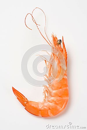 Delicious fresh cooked shrimp prepared Stock Photo