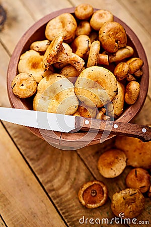 Delicious fresh lactarius mushrooms straight from the forest in a brown bowl and a knife Stock Photo