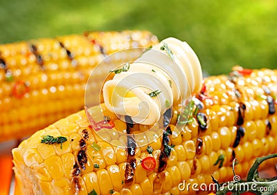 Grilled corn on the cob with butter Stock Photo