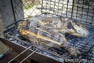 Delicious grilled fish Stock Photo