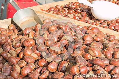 Delicious group of chestnuts fruits Stock Photo
