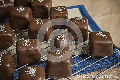 CHOCOLATE PRALINES Stock Photo