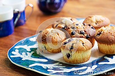 Delicious homemade blueberry muffin Stock Photo