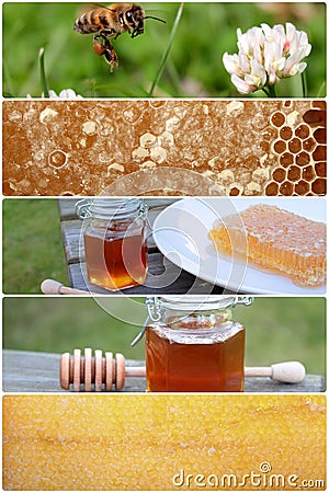 Delicious Honey bee collage Stock Photo