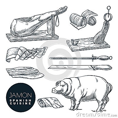 Delicious iberian pork jamon leg and cutting tools. Sketch illustration of Spanish gourmet cuisine Vector Illustration