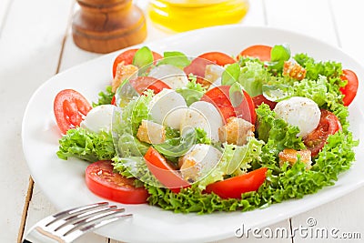 Delicious Italian mozzarella salad with croutons Stock Photo