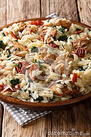 Delicious Italian pasta orzo with fried chicken, dried tomatoes, spinach and cheese closeup on a plate. vertical Stock Photo