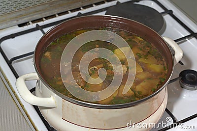 Delicious lamb soup, boiling on the kitchen stove in the white p Stock Photo