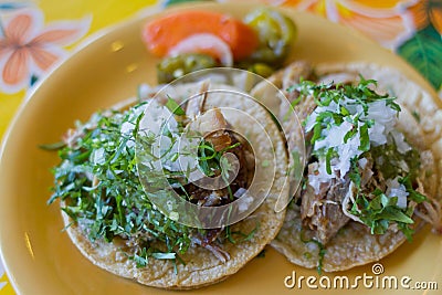 Delicious Mexican carnitas tacos Stock Photo