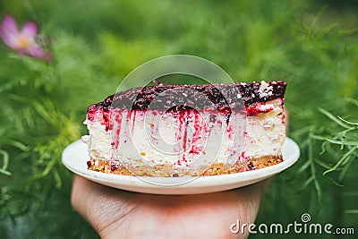 Delicious Party cherry cake slice on the plate in male`s hand. First person point of view POV over defocused garden Stock Photo