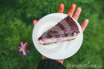 Delicious Party cherry cake slice on the plate in male`s hand. First person point of view POV over defocused garden Stock Photo